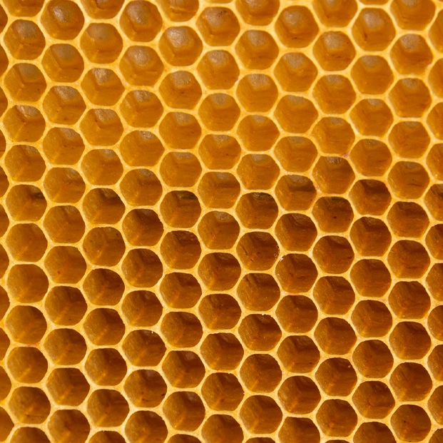 MARQUE DE PRODUITS À BASE DE MIEL