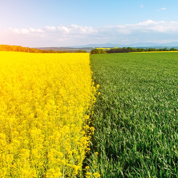 Définition du territoire de marque du groupe et de ses filières d’excellence