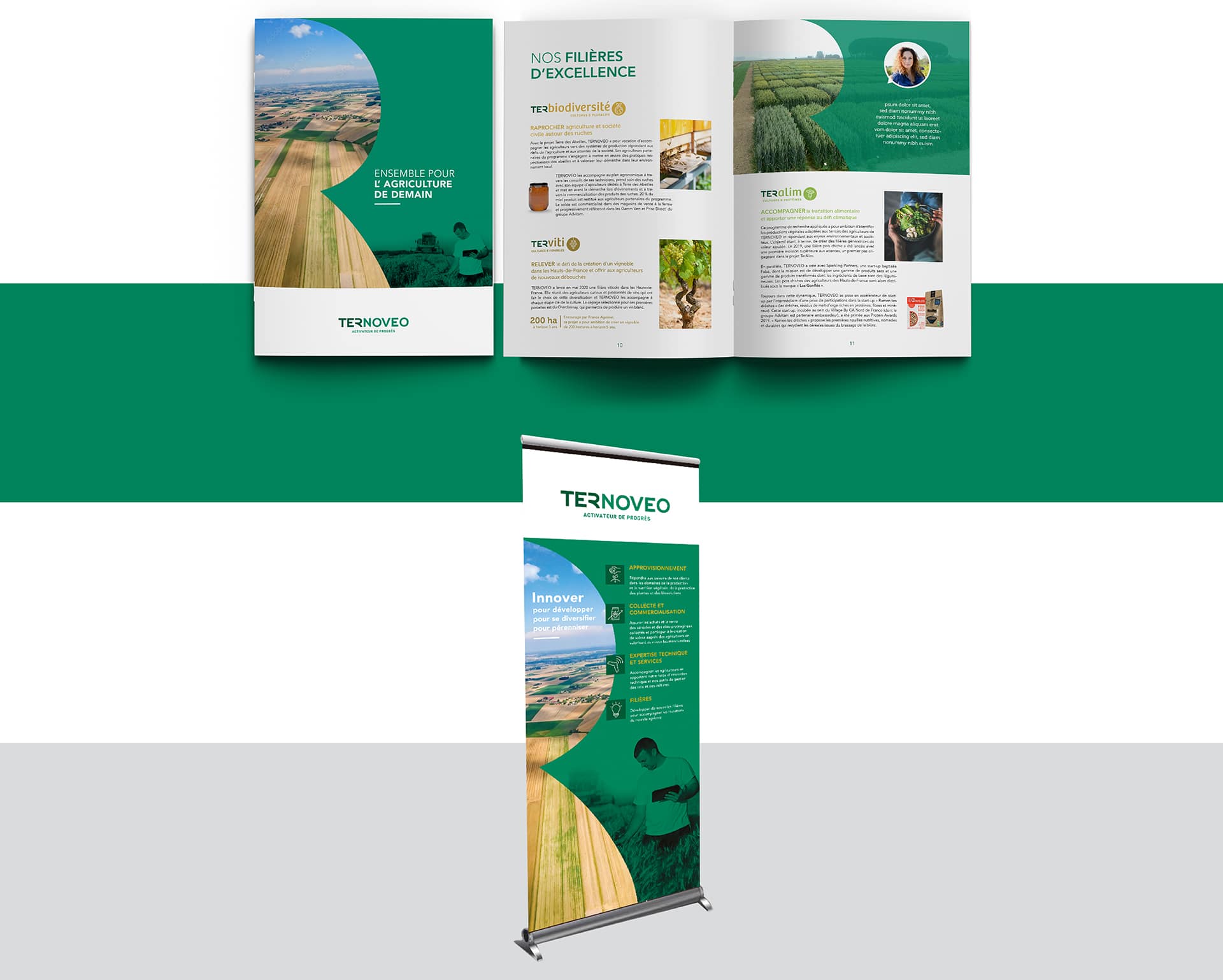 TERNOVEO Définition du territoire de marque du groupe et de ses filières d’excellence