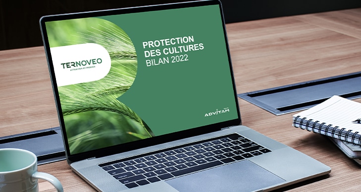 TERNOVEO Définition du territoire de marque du groupe et de ses filières d’excellence