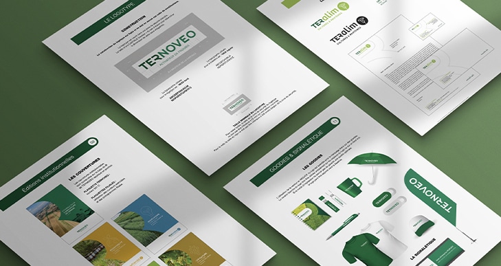 TERNOVEO Définition du territoire de marque du groupe et de ses filières d’excellence