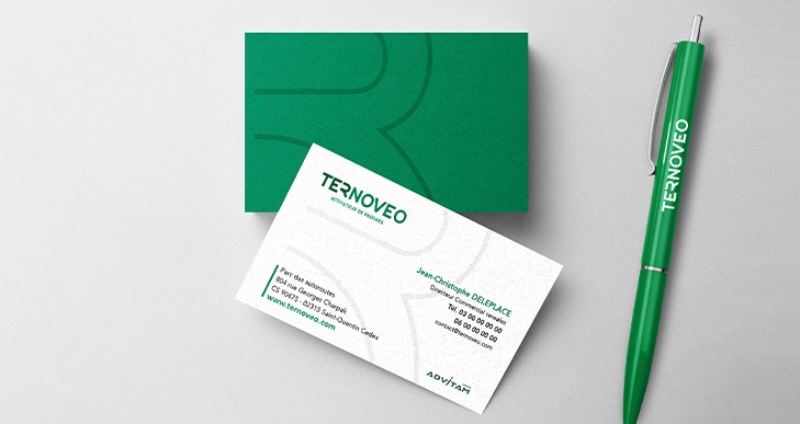 TERNOVEO Définition du territoire de marque du groupe et de ses filières d’excellence