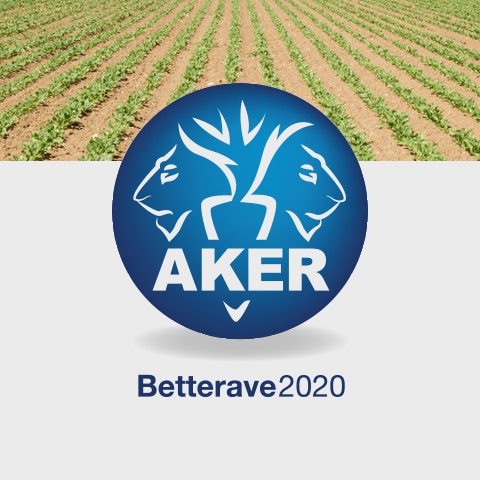 AKER BETTERAVE 2020 : Le site web est à la fois un site vitrine mais également un intranet pour les échanges internationaux des chercheurs - Agence Linéal