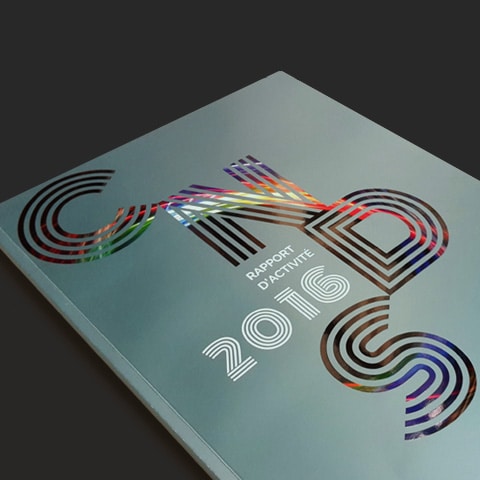 CNDS : Élaboration de la série de rapports d'activité- Agence Linéal