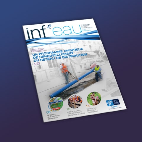 SEDIF : Prise en charge de la communication opérationnelle du Sedif - Élaboration de rapports/concept répartis en plusieurs volumes - Agence Linéal