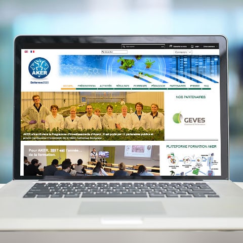 AKER BETTERAVE 2020 WEB : Le logo est articulé autour de la représentation du Dieu égyptien Aker,  symbole de la terre et du sous-sol - Les outils de présentation et de promotion ont été déclinés selon la nouvelle charte - Agence Linéal