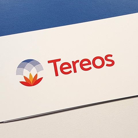 TEREOS : Réalisation de tous les supports nationaux et internationaux, internes et externes, multilingues - Agence Linéal