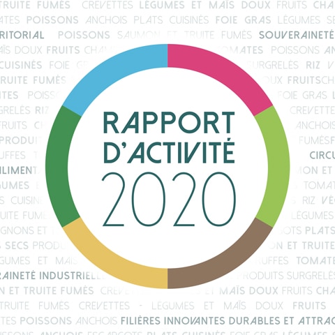 Rapport d'activité 2020