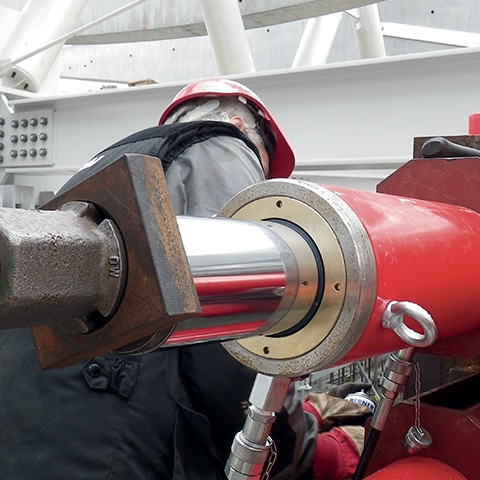 Catalogue et site web