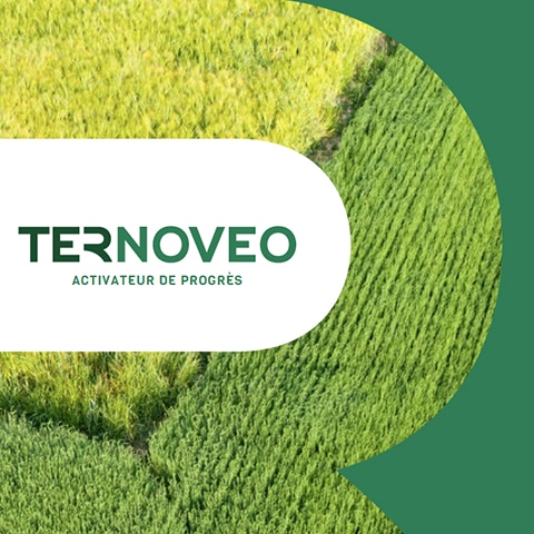 Charte graphique éditions