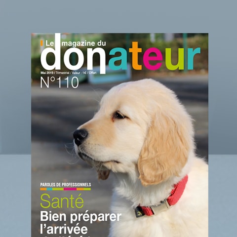 CHIENS GUIDES AVEUGLES : Magazine du donateur - Agence Linéal